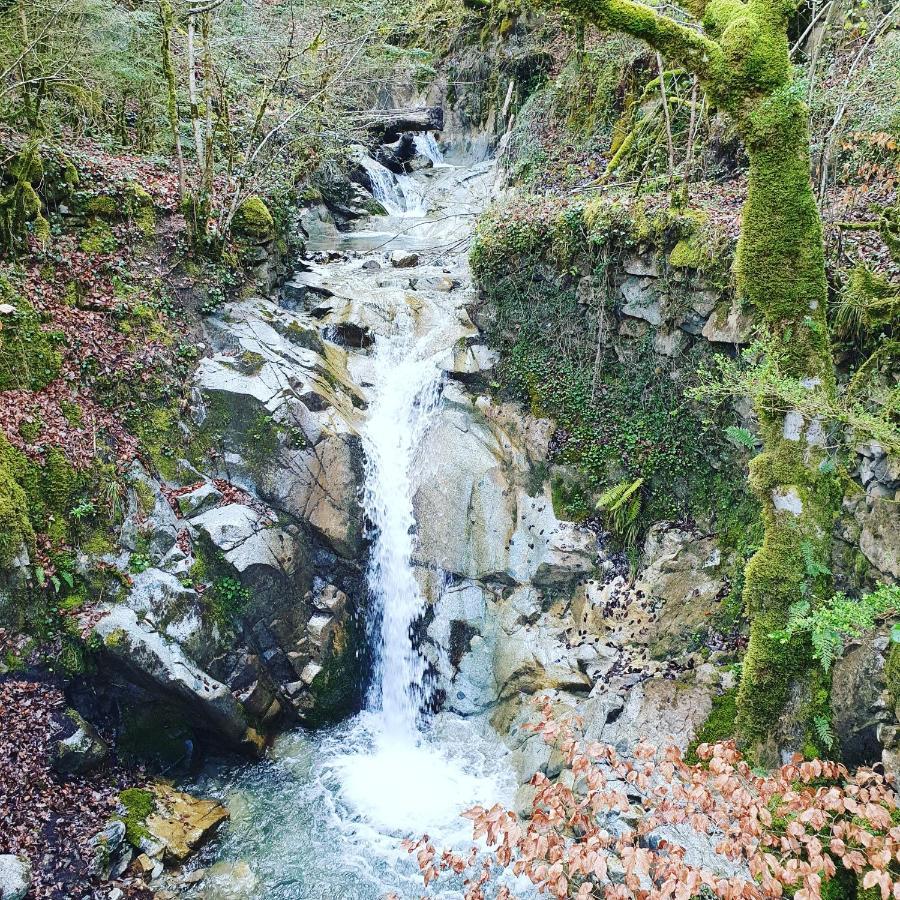 Auberge La Caverne Laruns Exteriör bild